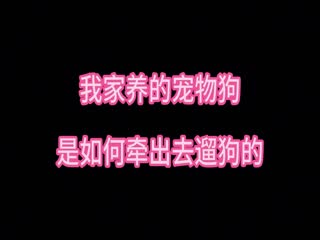 同样是养狗的但为啥我养的狗和你们有很大的区别牵出去时候感觉怪怪的