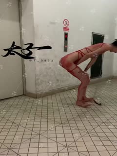 母狗调教训练推特大佬【太子】私拍26